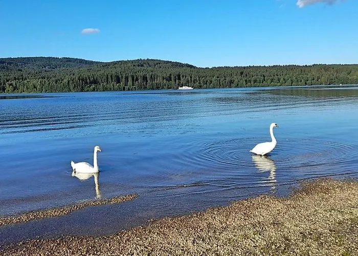 Lakeside Village 5 Апартаменты
